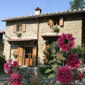 villa olivo tuscany